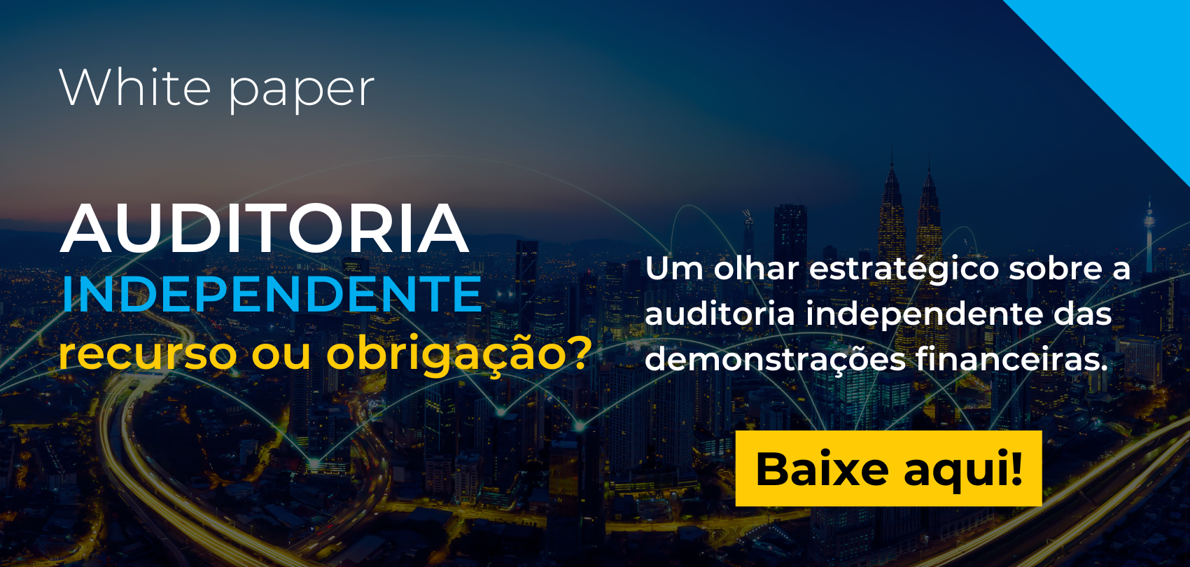 White paper Auditoria Independente